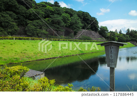 椎木綠地 椎木綠地 117886445