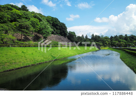 椎木綠地 117886448