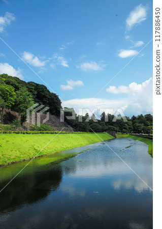 椎木綠地 117886450