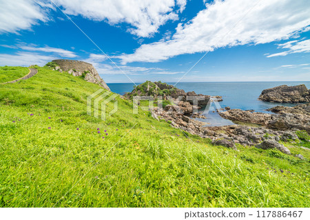 "Aomori Prefecture" Ashigezaki Observatory, Tanesashi Coast, Michinoku Sea Breeze Trail, Summer "Aomori Prefecture" Ashigezaki Observatory, Tanesashi Coast, Michinoku Sea Breeze Trail, Summer 117886467