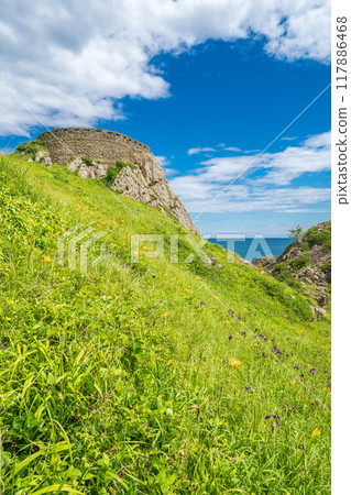 "Aomori Prefecture" Ashigezaki Observatory, Tanesashi Coast, Michinoku Sea Breeze Trail, Summer 117886468