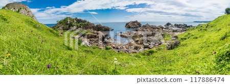 "Aomori Prefecture" Ashigezaki Observatory, Tanesashi Coast, Michinoku Sea Breeze Trail, Summer 117886474