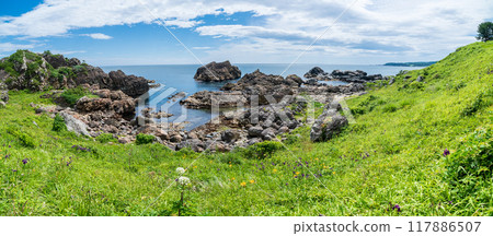 “青森縣”蘆毛崎海岸/種差海岸 夏季 117886507