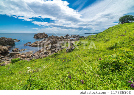 "Aomori Prefecture" Ashigezaki Coast and Tanesashi Coast in summer "Aomori Prefecture" Ashigezaki Coast and Tanesashi Coast in summer 117886508