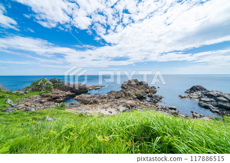 “青森縣”蘆毛崎海岸/種差海岸 夏季 117886515