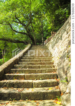 Kanazawa Castle Park Kanazawa Castle Park 117886639