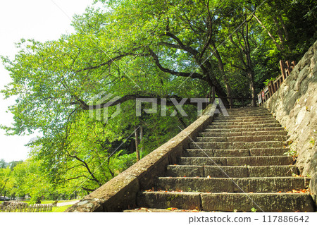 金澤城公園 金澤城公園 117886642
