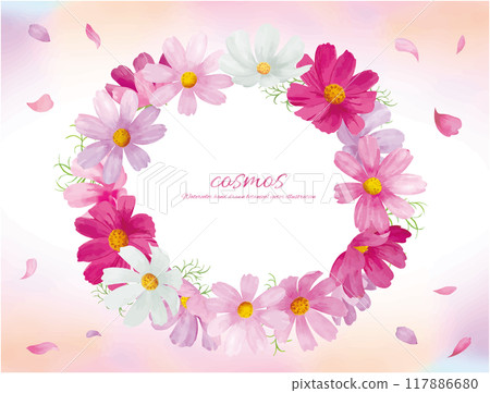 Vector illustration frame of cosmos flowers drawn by watercolor 117886680