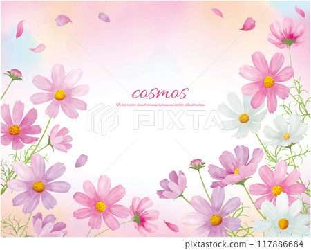 Vector illustration frame of cosmos flowers drawn by watercolor Vector illustration frame of cosmos flowers drawn by watercolor 117886684