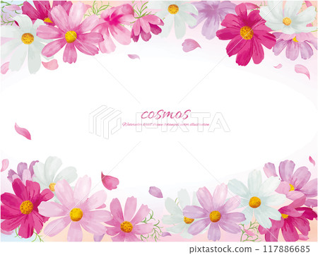 Vector illustration frame of cosmos flowers drawn by watercolor 117886685