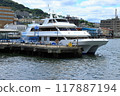 Sightseeing Boat Blue Moon 117887194