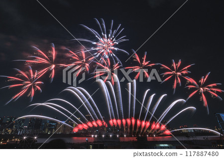 大阪天空絢麗多彩的煙火 大阪天空絢麗多彩的煙火 117887480