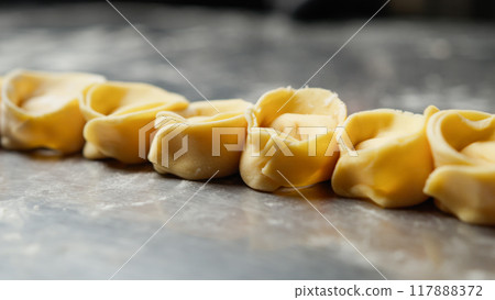Composition Of Raw Stuffed Cappelletti  117888372