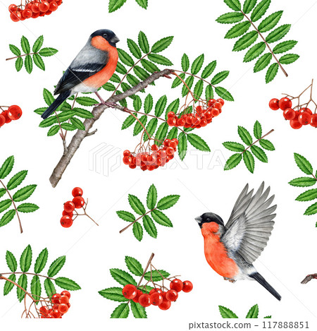 Bullfinch birds with rowanberry tree elements seamless pattern. Watercolor vintage style illustration. Hand drawn rowan red ripe berries, leaf, forest birds seamless pattern design on white background 117888851