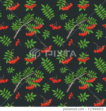 Rowanberry tree elements seamless pattern. Watercolor painted vintage style illustration. Hand drawn natural rowan red ripe berries, leaf elements seamless pattern design on dark background Rowanberry tree elements seamless pattern. Watercolor painted vintage style illustration. Hand drawn natural rowan red ripe berries, leaf elements seamless pattern design on dark background 117888853