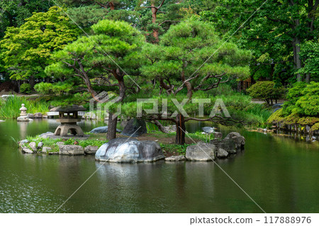 北海道札幌中島公園的夏天 北海道札幌中島公園的夏天 117888976