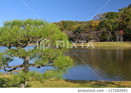 Yokohama Sankeien Garden 117888991