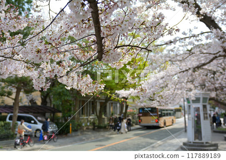 Yokohama - Yamate Yokohama - Yamate 117889189