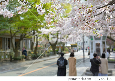 Yokohama - Yamate Yokohama - Yamate 117889190