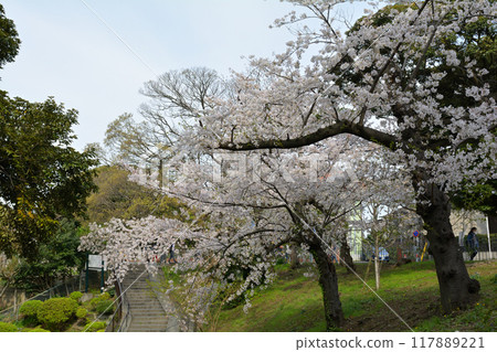 Yokohama · Motomachi Park Yokohama · Motomachi Park 117889221