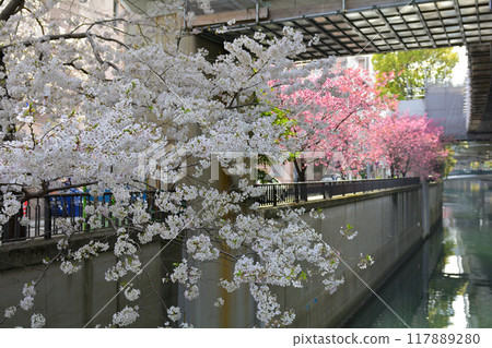 橫濱·元町 橫濱·元町 117889280