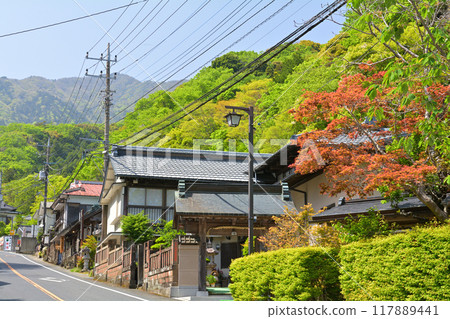 神奈川/小山 117889441