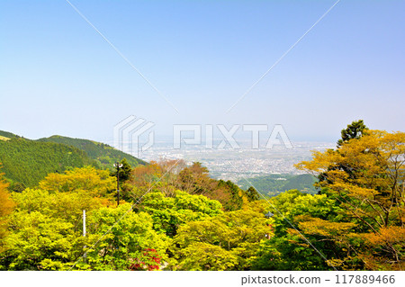 神奈川/小山 神奈川/小山 117889466