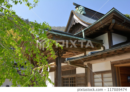 Kanagawa / Oyama Kanagawa / Oyama 117889474
