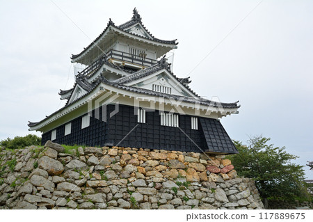 Hamamatsu Castle 117889675