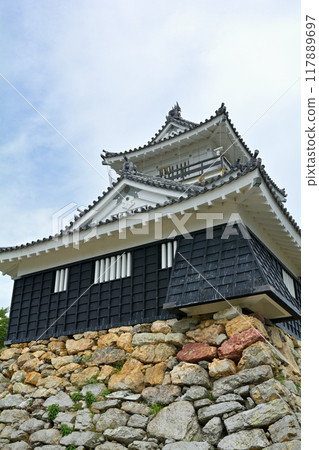 Hamamatsu Castle 117889697