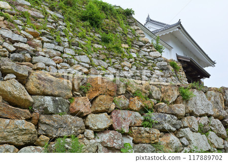 Hamamatsu Castle Hamamatsu Castle 117889702