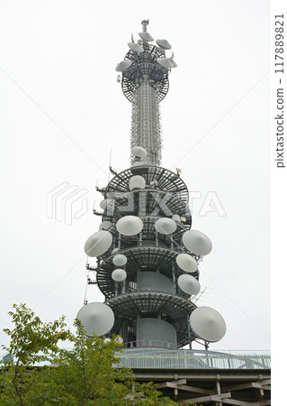 靜岡 / 日本平 117889821