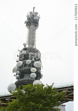 靜岡 / 日本平 靜岡 / 日本平 117889822