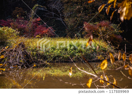 Autumn is a time when the leaves change color, the cold wind blows on your skin, and the red and yellow colors are a delight to the eyes. Autumn is a time when the leaves change color, the cold wind blows on your skin, and the red and yellow colors are a delight to the eyes. 117889969