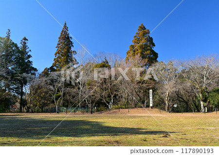 日本的100個精美城堡，長筱城 117890193