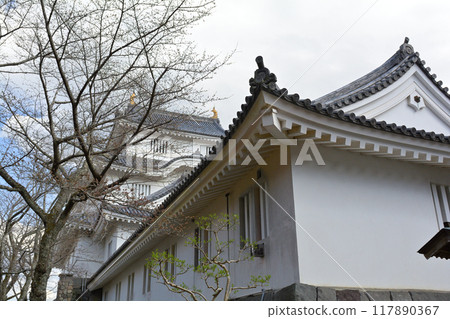 Chiba / Otaki Castle 117890367