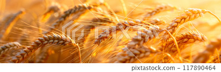 Barley field. farmland. Generative AI 117890464