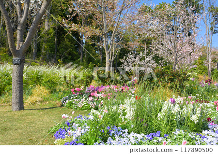 橫濱里山花園 117890500