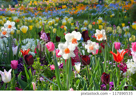 Yokohama Satoyama Garden 117890535