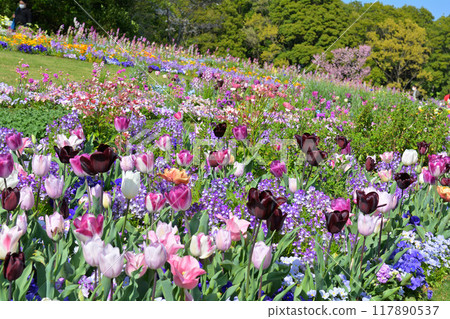 Yokohama Satoyama Garden 117890537