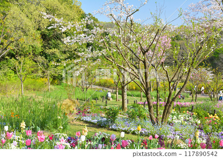 橫濱里山花園 117890542