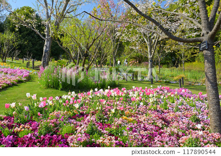 Yokohama Satoyama Garden 117890544