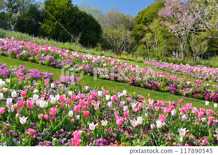 橫濱里山花園 117890545
