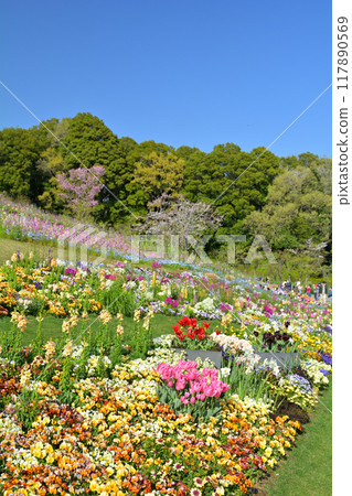 橫濱里山花園 117890569