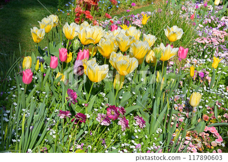 Yokohama Satoyama Garden 117890603