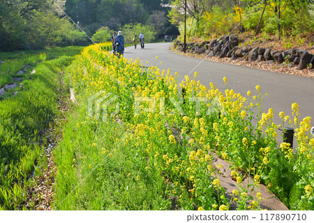 橫濱里山花園 橫濱里山花園 117890710