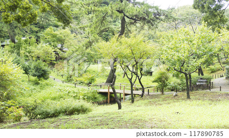 Sankeien Garden, a scenic spot in Yokohama City, enveloped in fresh greenery 117890785