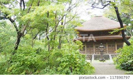 三溪園,綠樹環繞的橫濱名勝 三溪園,綠樹環繞的橫濱名勝 117890797