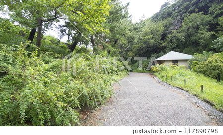 三溪園,綠樹環繞的橫濱名勝 三溪園,綠樹環繞的橫濱名勝 117890798