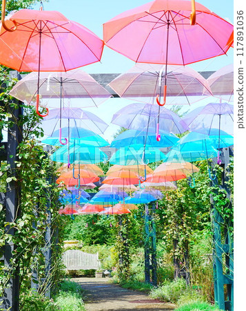 Ecorin Village Umbrella Sky 117891036